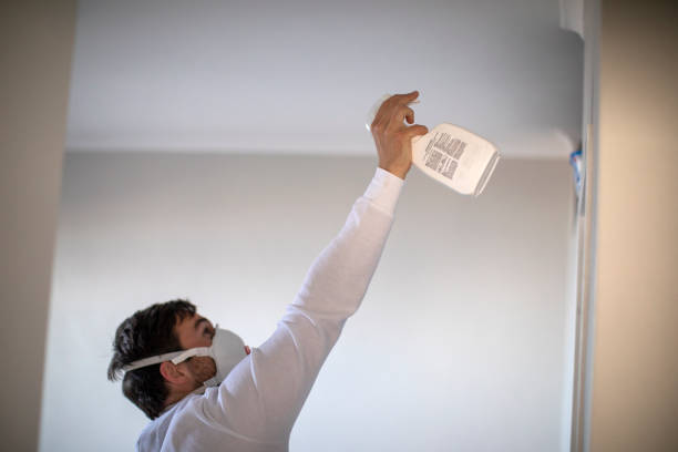 Best Residential Mold Remediation in Forest Hills, TN