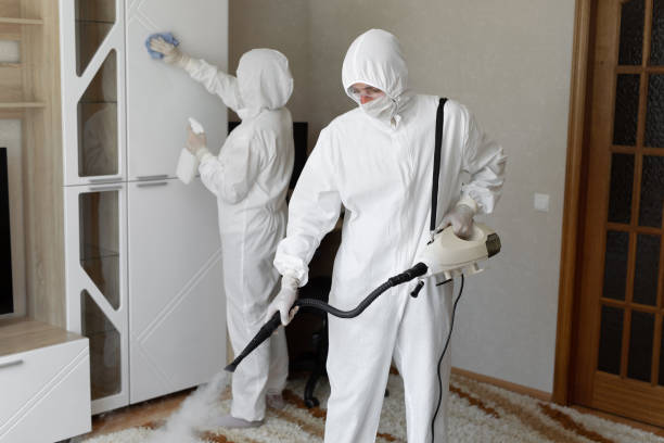 Best Post-Flood Mold Remediation in Forest Hills, TN